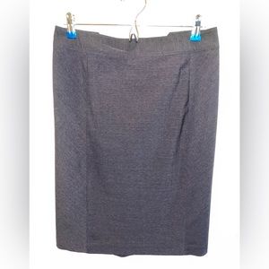 Express- Dress Skirt